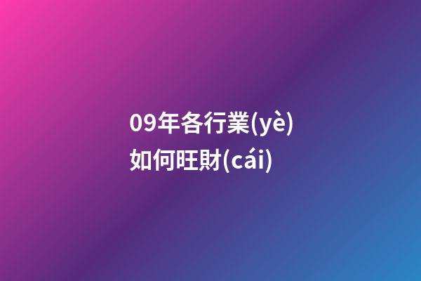 09年各行業(yè)如何旺財(cái)