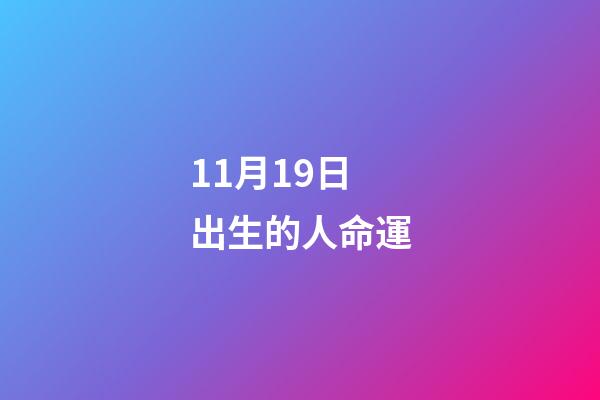 11月19日出生的人命運(關于養貓的知識點)-第1張-觀點-玄機派