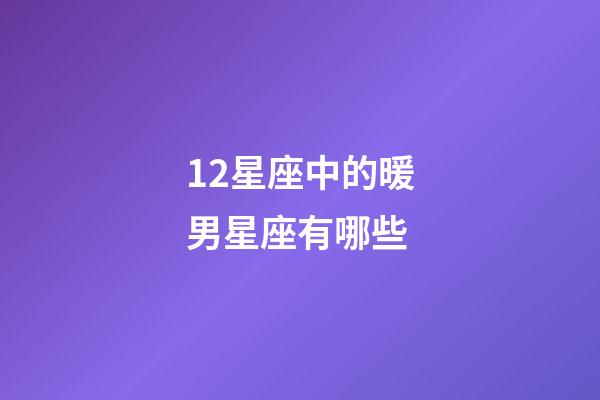 12星座中的暖男星座有哪些-第1張-星座運勢-玄機派