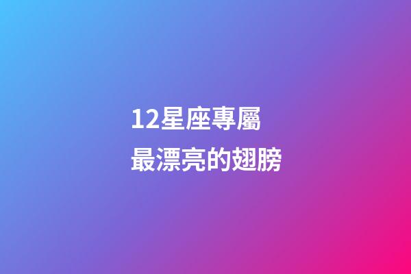 12星座專屬最漂亮的翅膀-第1張-星座運勢-玄機派