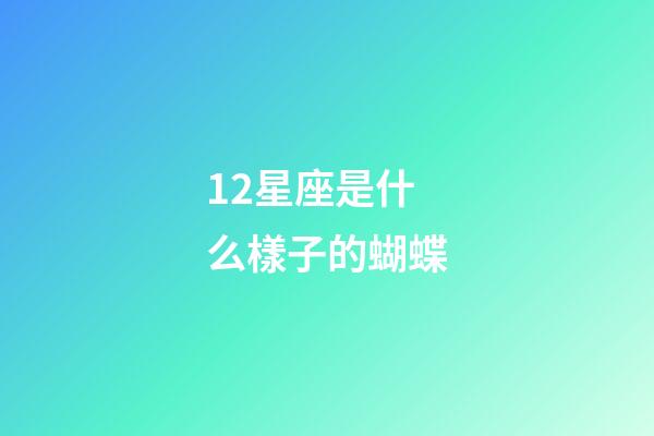 12星座是什么樣子的蝴蝶-第1張-星座運勢-玄機派