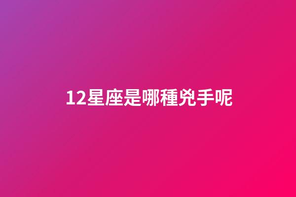 12星座是哪種兇手呢-第1張-星座運勢-玄機派