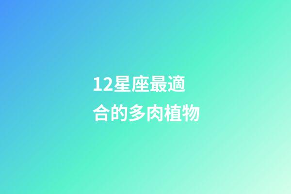 12星座最適合的多肉植物-第1張-星座運(yùn)勢-玄機(jī)派