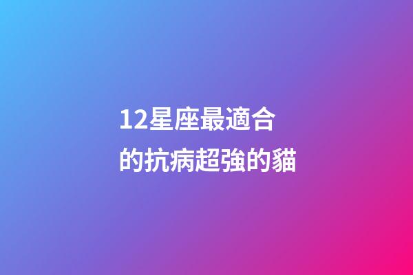 12星座最適合的抗病超強的貓-第1張-星座運勢-玄機派