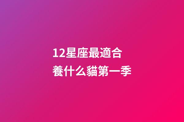 12星座最適合養什么貓第一季