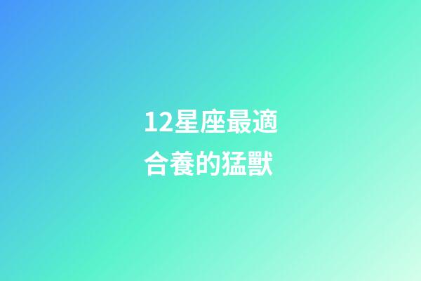 12星座最適合養的猛獸