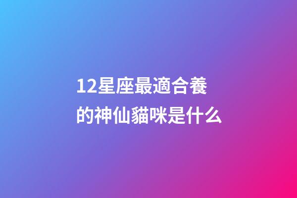 12星座最適合養的神仙貓咪是什么-第1張-星座運勢-玄機派