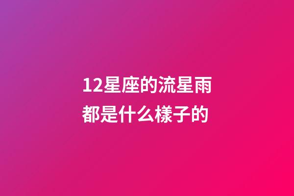 12星座的流星雨都是什么樣子的-第1張-星座運(yùn)勢-玄機(jī)派