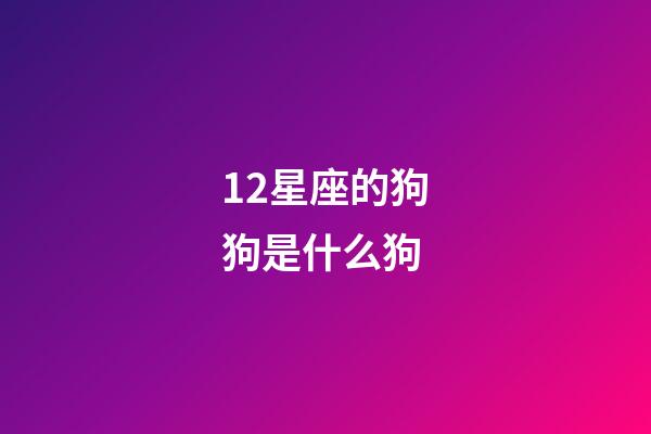 12星座的狗狗是什么狗-第1張-星座運勢-玄機派
