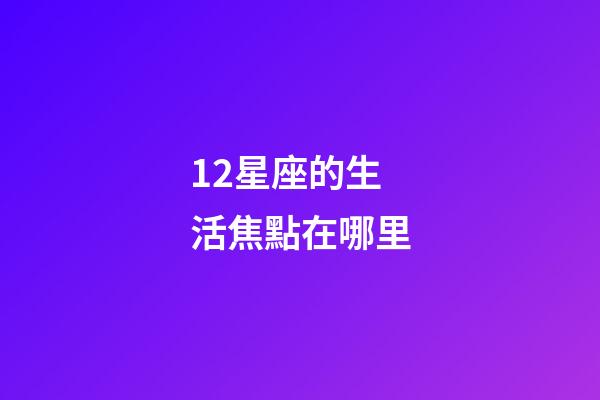 12星座的生活焦點在哪里
