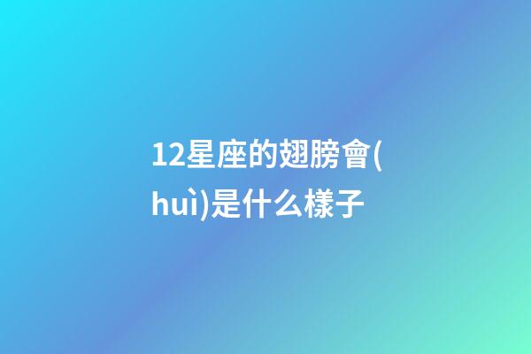 12星座的翅膀會(huì)是什么樣子-第1張-星座運(yùn)勢-玄機(jī)派