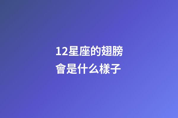 12星座的翅膀會是什么樣子