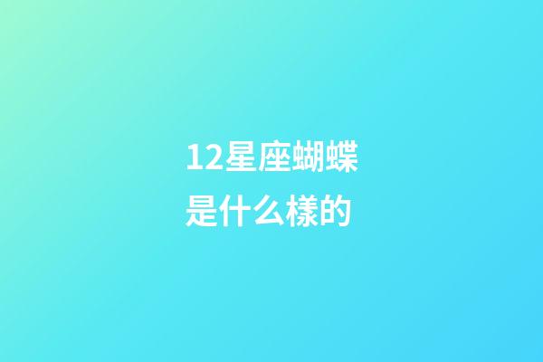 12星座蝴蝶是什么樣的-第1張-星座運勢-玄機派