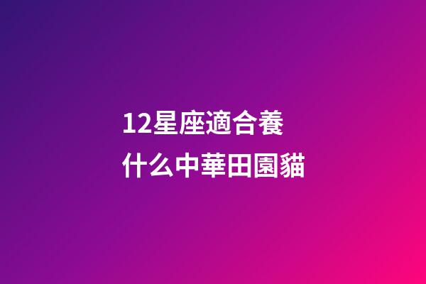 12星座適合養什么中華田園貓
