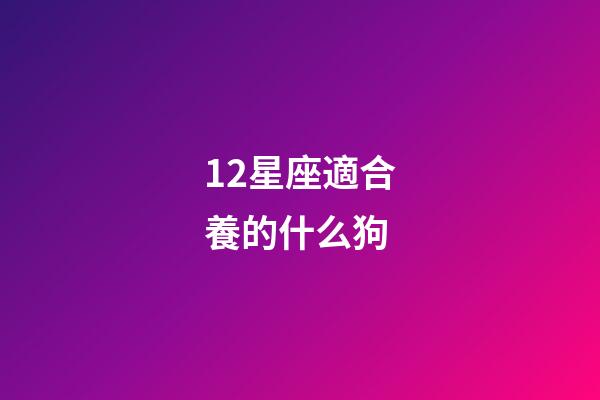 12星座適合養的什么狗-第1張-星座運勢-玄機派