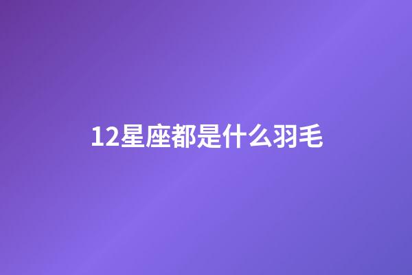 12星座都是什么羽毛-第1張-星座運勢-玄機派
