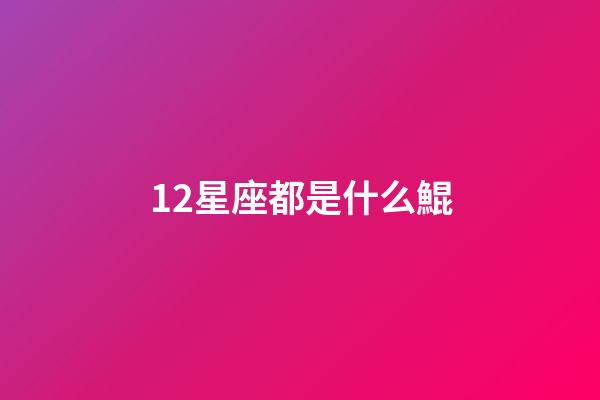 12星座都是什么鯤-第1張-星座運勢-玄機派