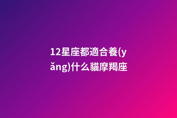 12星座都適合養(yǎng)什么貓摩羯座-第1張-星座運勢-玄機派