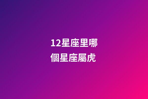 12星座里哪個星座屬虎-第1張-星座運勢-玄機派