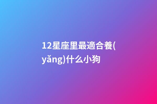 12星座里最適合養(yǎng)什么小狗-第1張-星座運(yùn)勢-玄機(jī)派