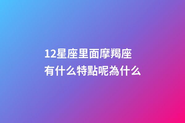 12星座里面摩羯座有什么特點呢為什么-第1張-星座運勢-玄機派