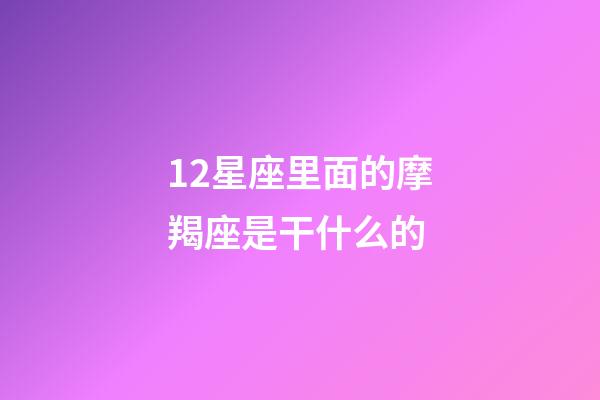 12星座里面的摩羯座是干什么的-第1張-星座運勢-玄機派