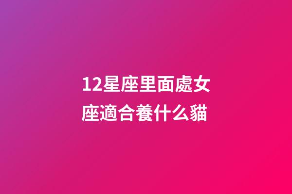 12星座里面處女座適合養什么貓-第1張-星座運勢-玄機派