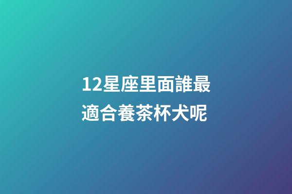 12星座里面誰最適合養茶杯犬呢