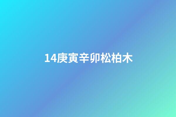 14.庚寅辛卯松柏木