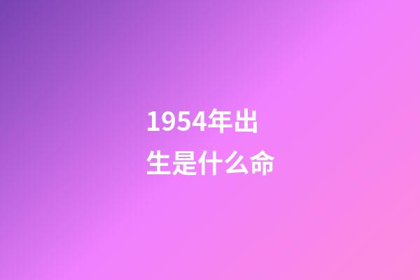 1954年出生是什么命