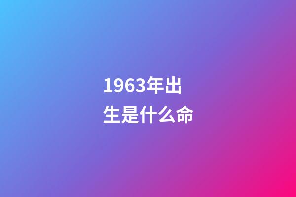 1963年出生是什么命