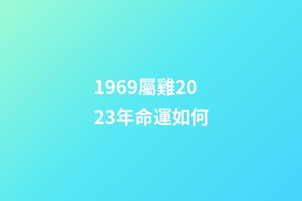 1969屬雞2023年命運如何(1969年出生的男性要延遲退休嗎？)-第1張-觀點-玄機派