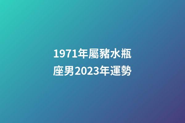 1971年屬豬水瓶座男2023年運勢-第1張-星座運勢-玄機派