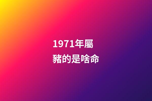 1971年屬豬的是啥命(1961~1971年出生且當年交過計劃生育罰款的農(nóng)民，現(xiàn)如今要享福了)-第1張-觀點-玄機派