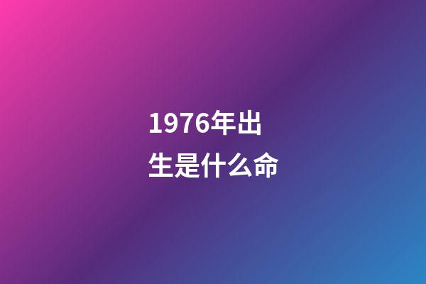 1976年出生是什么命