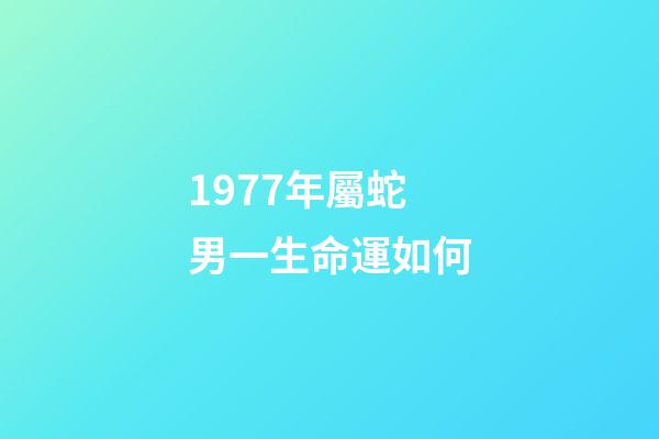 1977年屬蛇男一生命運如何(53、65、77年肖蛇人在17年運程)-第1張-觀點-玄機派