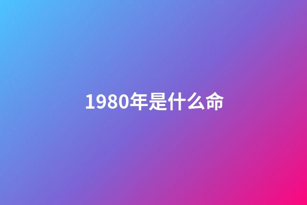 1980年是什么命（1980石榴木命的貴人是什么）-第1張-星座運勢-玄機派