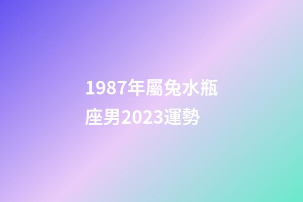 1987年屬兔水瓶座男2023運勢-第1張-星座運勢-玄機派