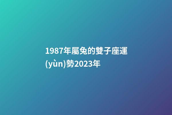 1987年屬兔的雙子座運(yùn)勢2023年-第1張-星座運(yùn)勢-玄機(jī)派