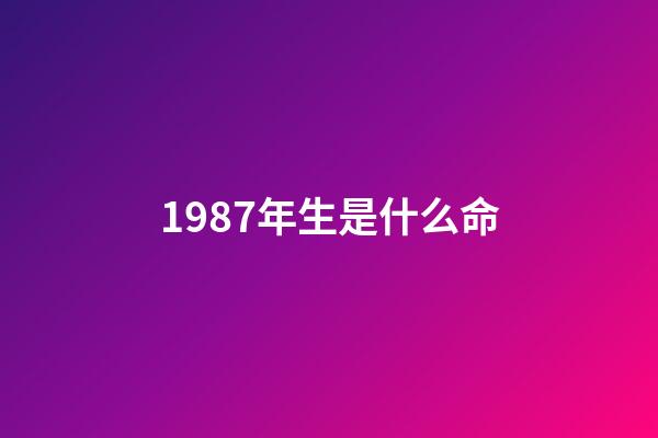 1987年生是什么命