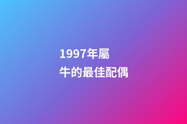 1997年屬牛的最佳配偶（97年屬牛女的正緣）-第1張-星座運勢-玄機派