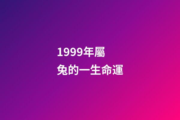 1999年屬兔的一生命運(土兔之命 土兔命運好嗎)-第1張-觀點-玄機派
