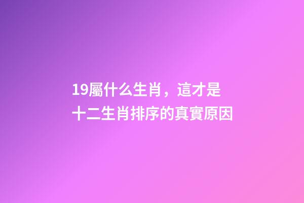 19屬什么生肖，這才是十二生肖排序的真實原因-第1張-觀點-玄機派