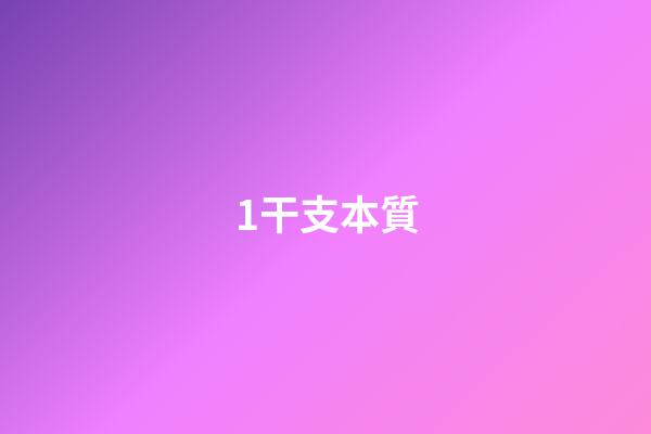 1.干支本質