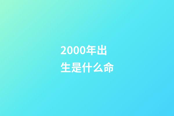 2000年出生是什么命