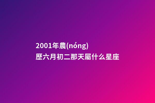 2001年農(nóng)歷六月初二那天屬什么星座-第1張-星座運勢-玄機派