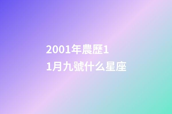 2001年農歷11月九號什么星座-第1張-星座運勢-玄機派