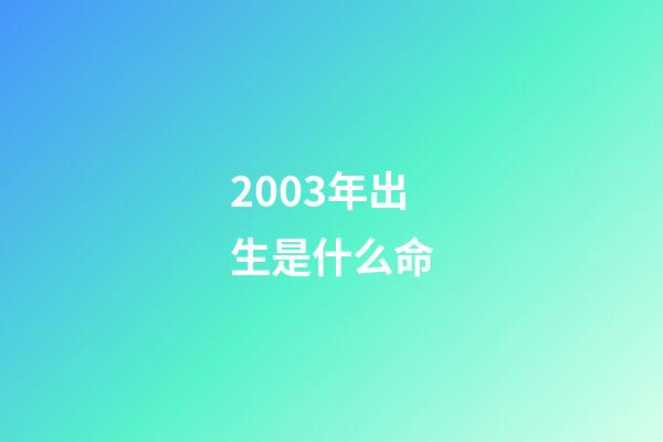 2003年出生是什么命