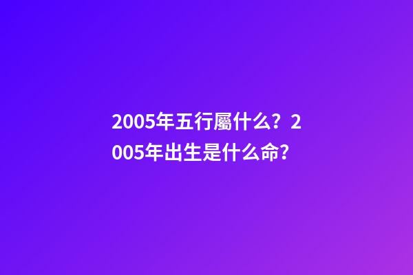 2005年五行屬什么？2005年出生是什么命？