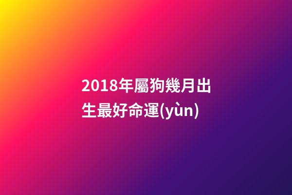 2018年屬狗幾月出生最好命運(yùn)(2018年出生的狗寶寶這幾個(gè)月命最好了，大家快來看看有你家的嗎？)-第1張-觀點(diǎn)-玄機(jī)派